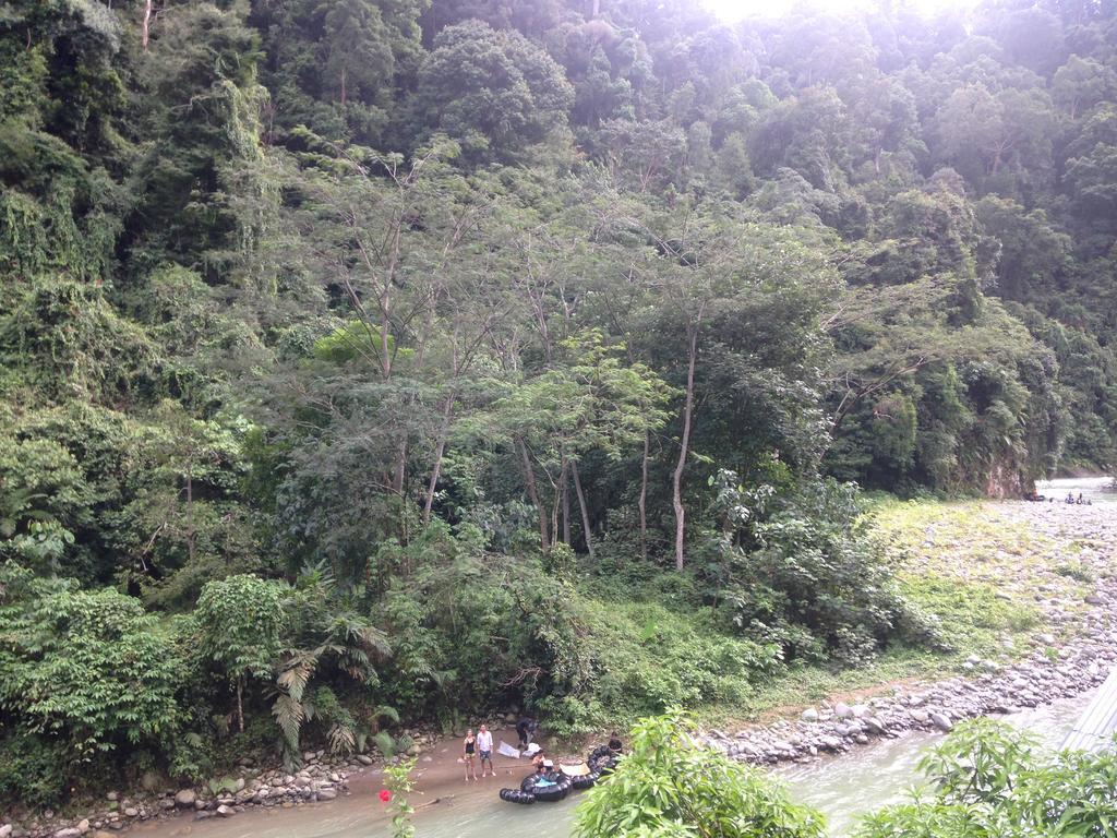 Kupu Kupu Garden Guest House & Cafe Bukit Lawang Exterior foto